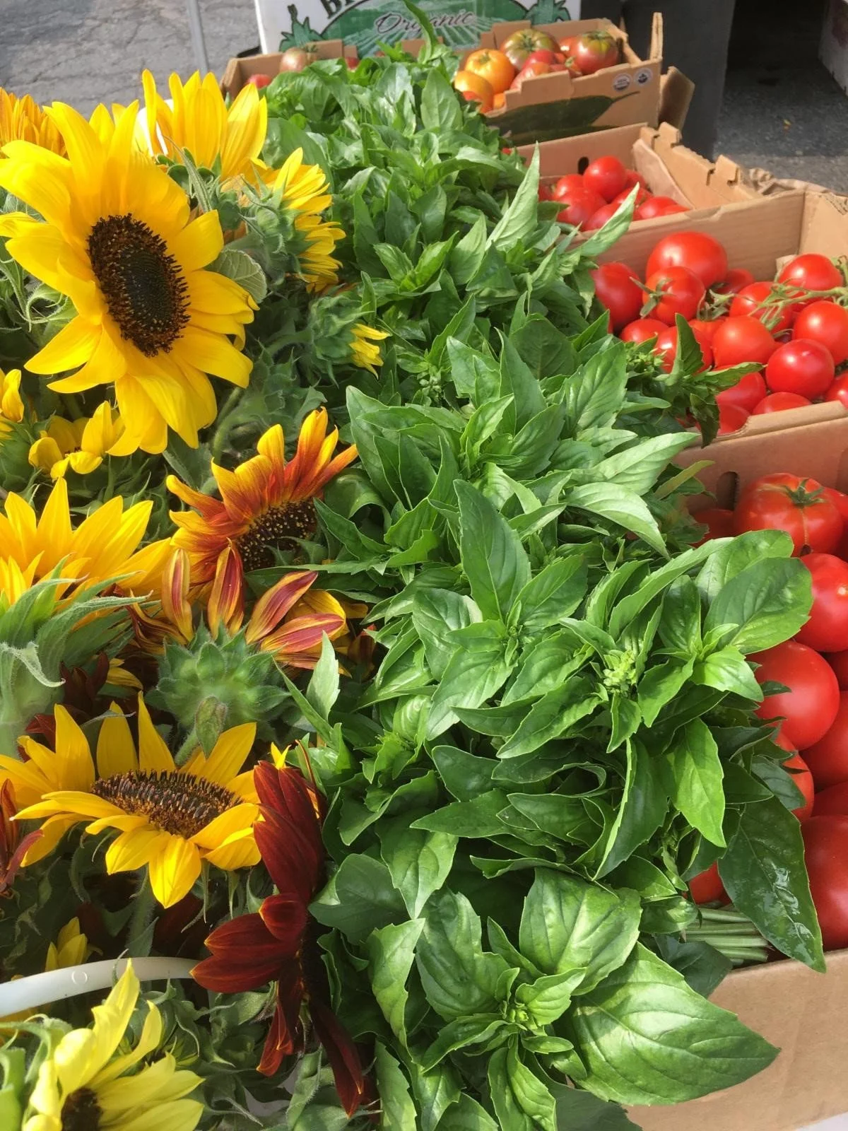 Mount Shasta Farmers' Market in Mt Shasta, CA (3)