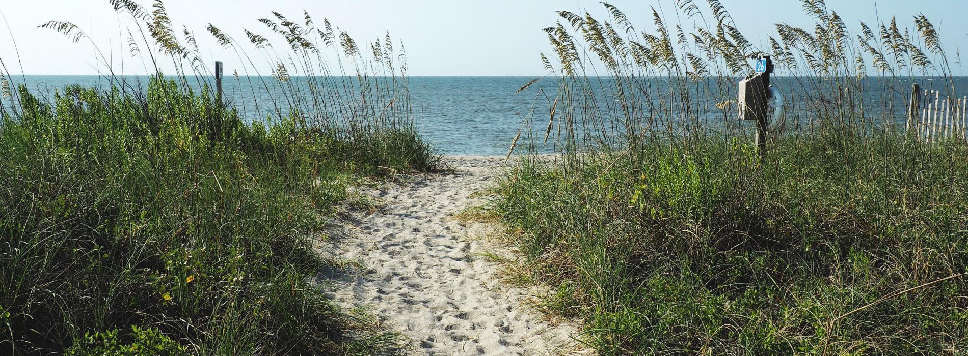 Edisto Beach in Edisto Island, SC (2)