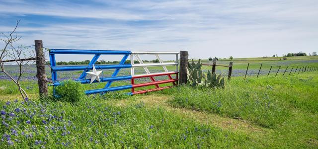 1st Texas Financial Services in Mt Pleasant, TX