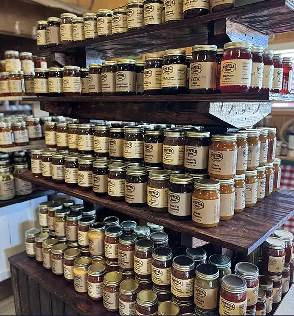 Poppell Farms in Odum, GA (3)