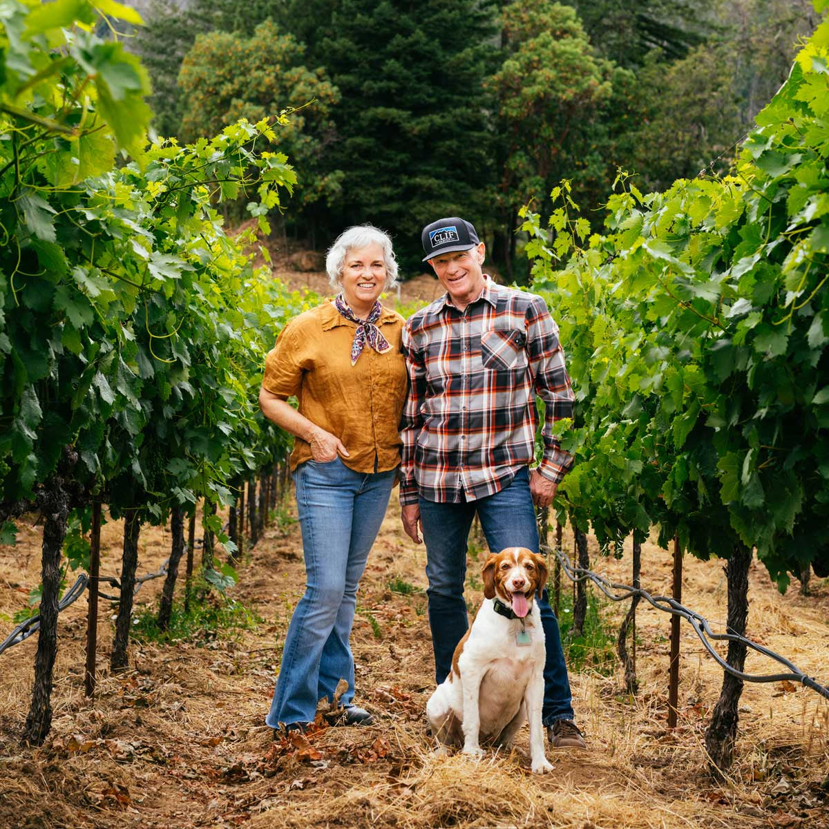 Clif Family Winery in St Helena, CA