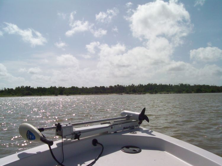 City Seafood in Everglades City, FL (4)