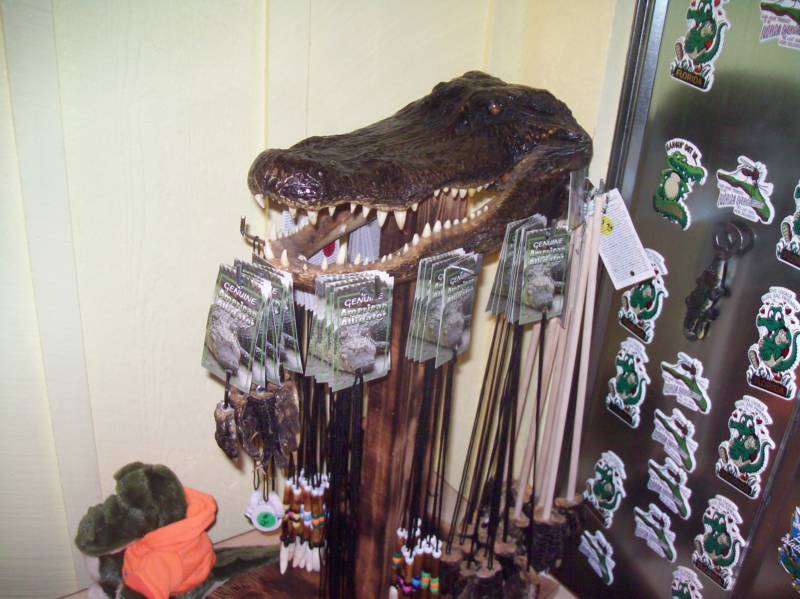 City Seafood in Everglades City, FL (6)