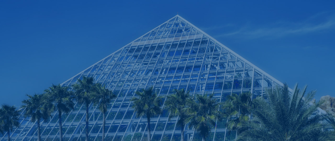 Lewis & Lewis, Attorneys at Law, PLLC in Houston, TX (2)