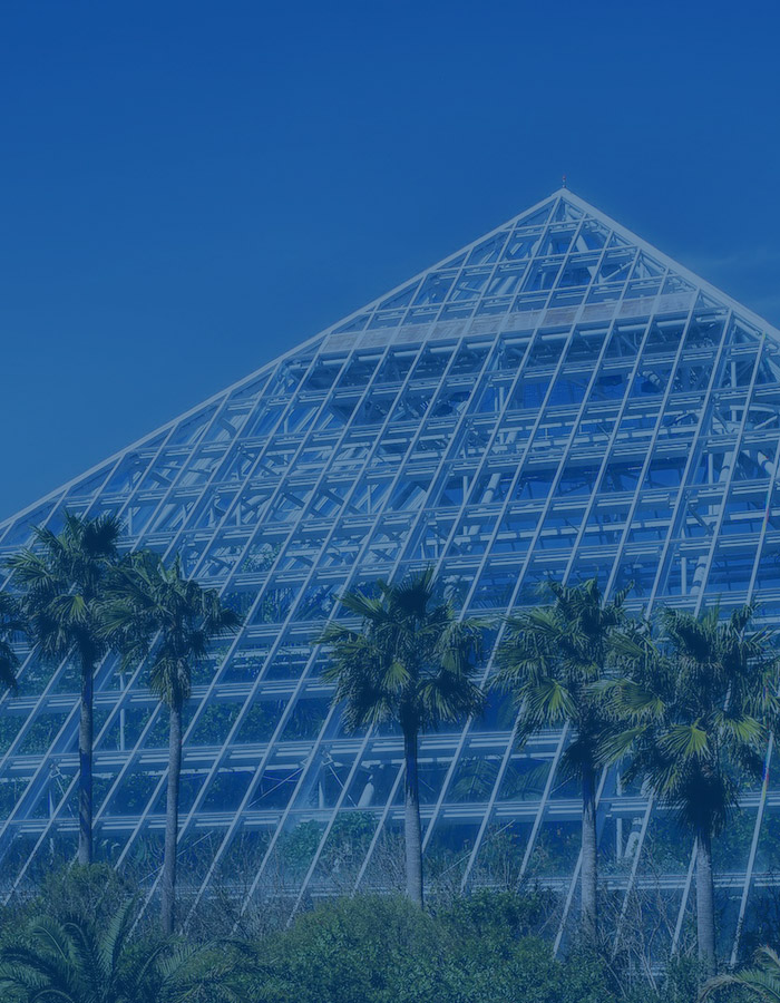 Lewis & Lewis, Attorneys at Law, PLLC in Houston, TX (3)