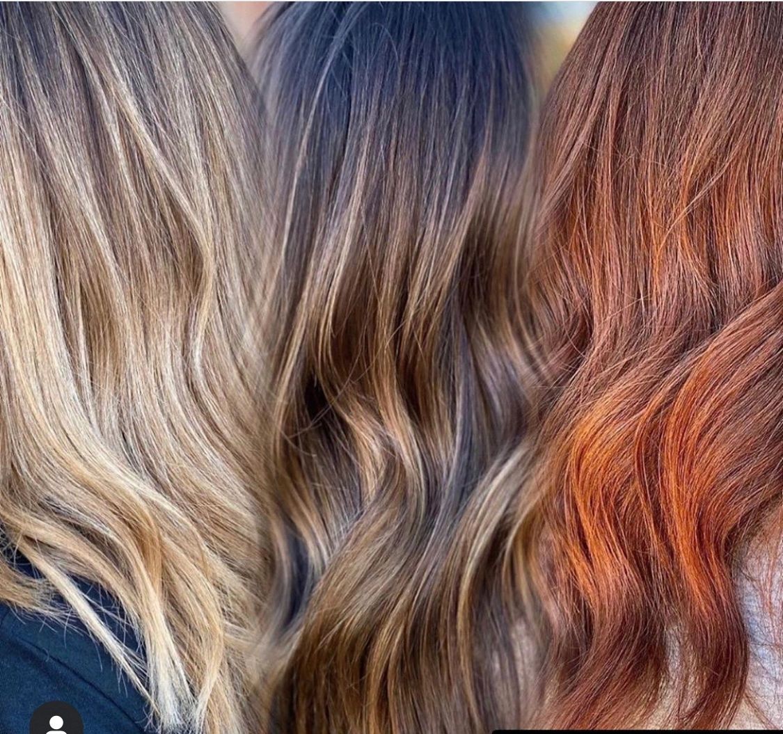 Adam and Eve Salon & Spa in Arlington Heights, IL