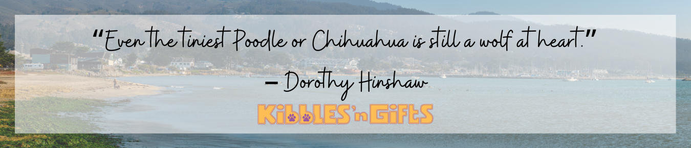Kibbles 'n Gifts in Half Moon Bay, CA (2)