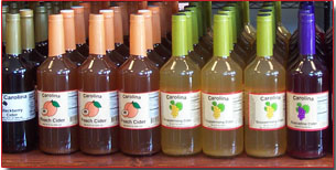 Atkins Orchard in Saluda, NC (4)