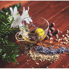 Redwood Naturopathic Medicine in San Carlos, CA (2)