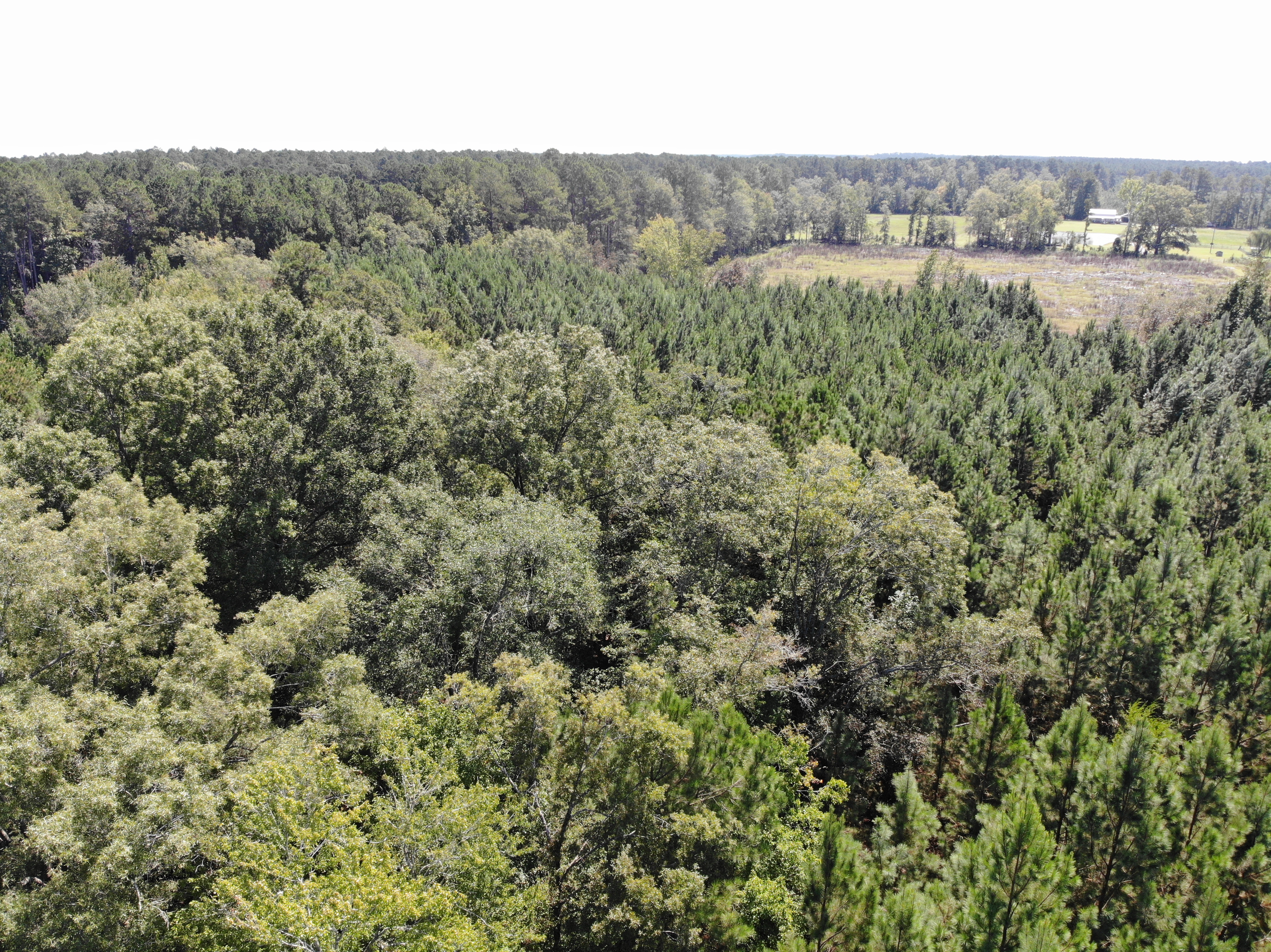 United Country J Romero Real Estate Group in Beaufort, SC (6)