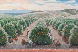 Exeter Chamber of Commerce in Exeter, CA (5)