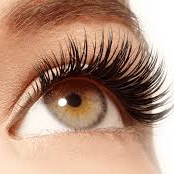 Trish's Lashes - Brows & Beauty Studio in La Quinta, CA (4)