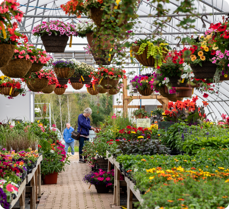 Dragonfly Gardens in Amery, WI