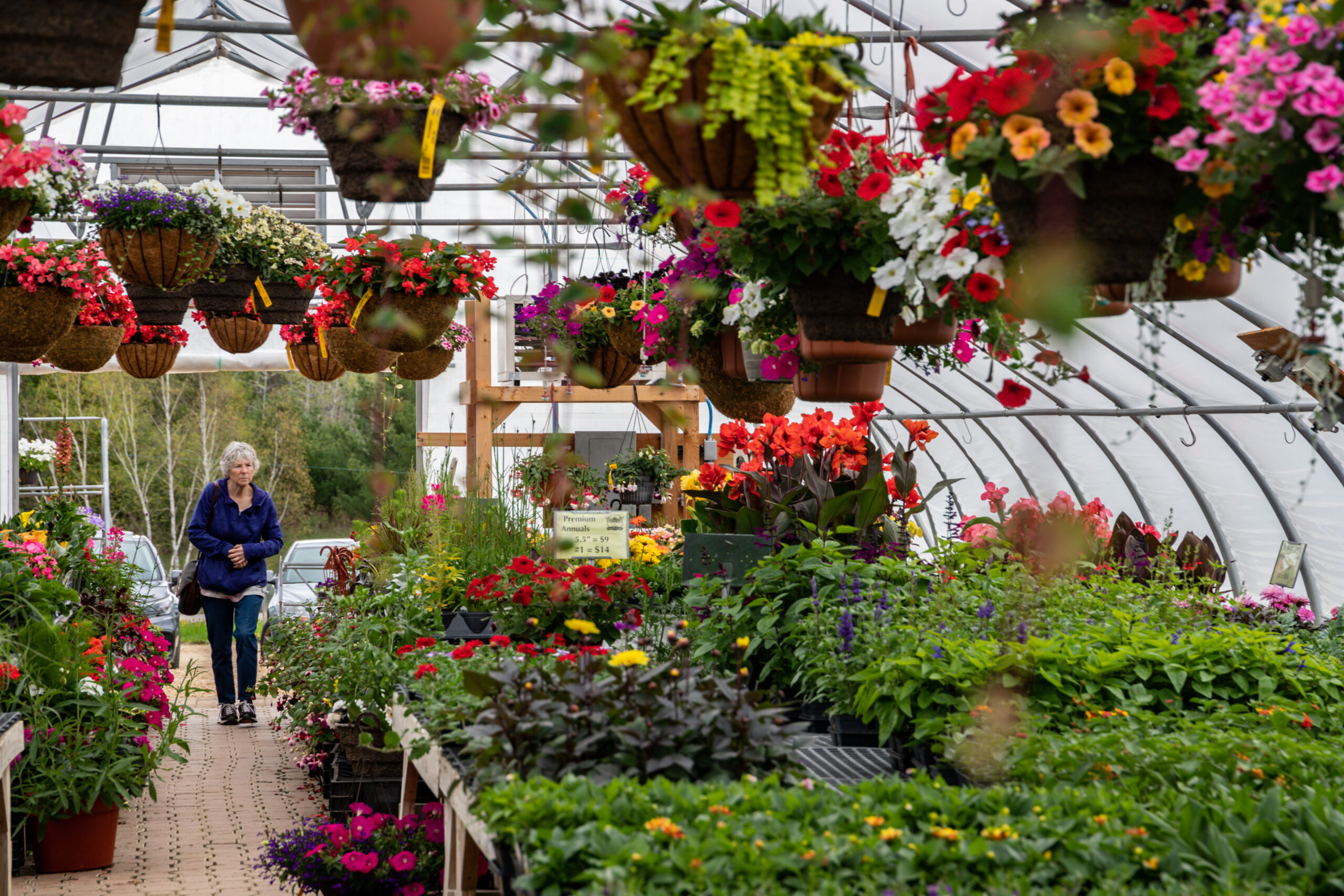 Dragonfly Gardens in Amery, WI (4)