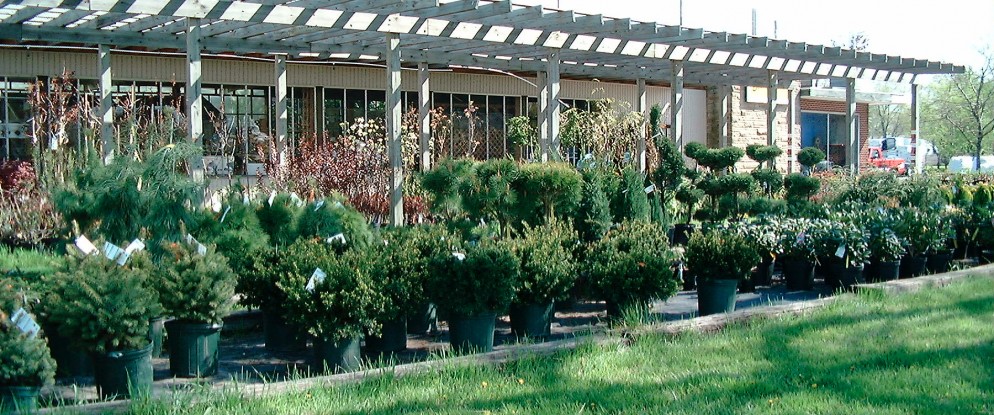 Doebel’s Flowers in Clyde, OH (4)