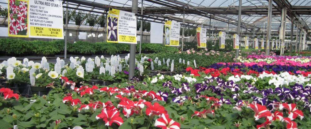 Doebel’s Flowers in Clyde, OH (5)