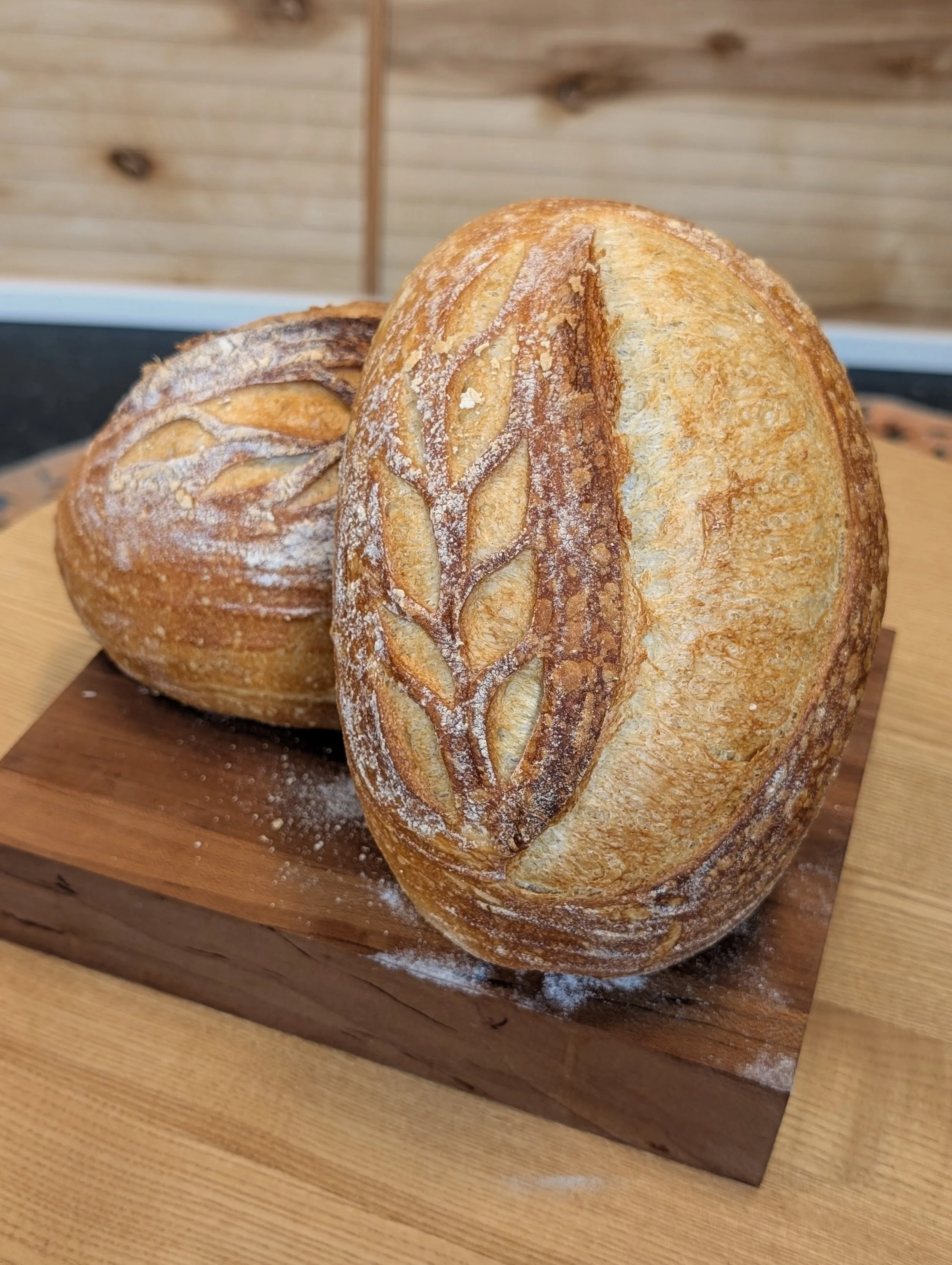 Black Dog Baking Company in Cuyahoga Falls, OH