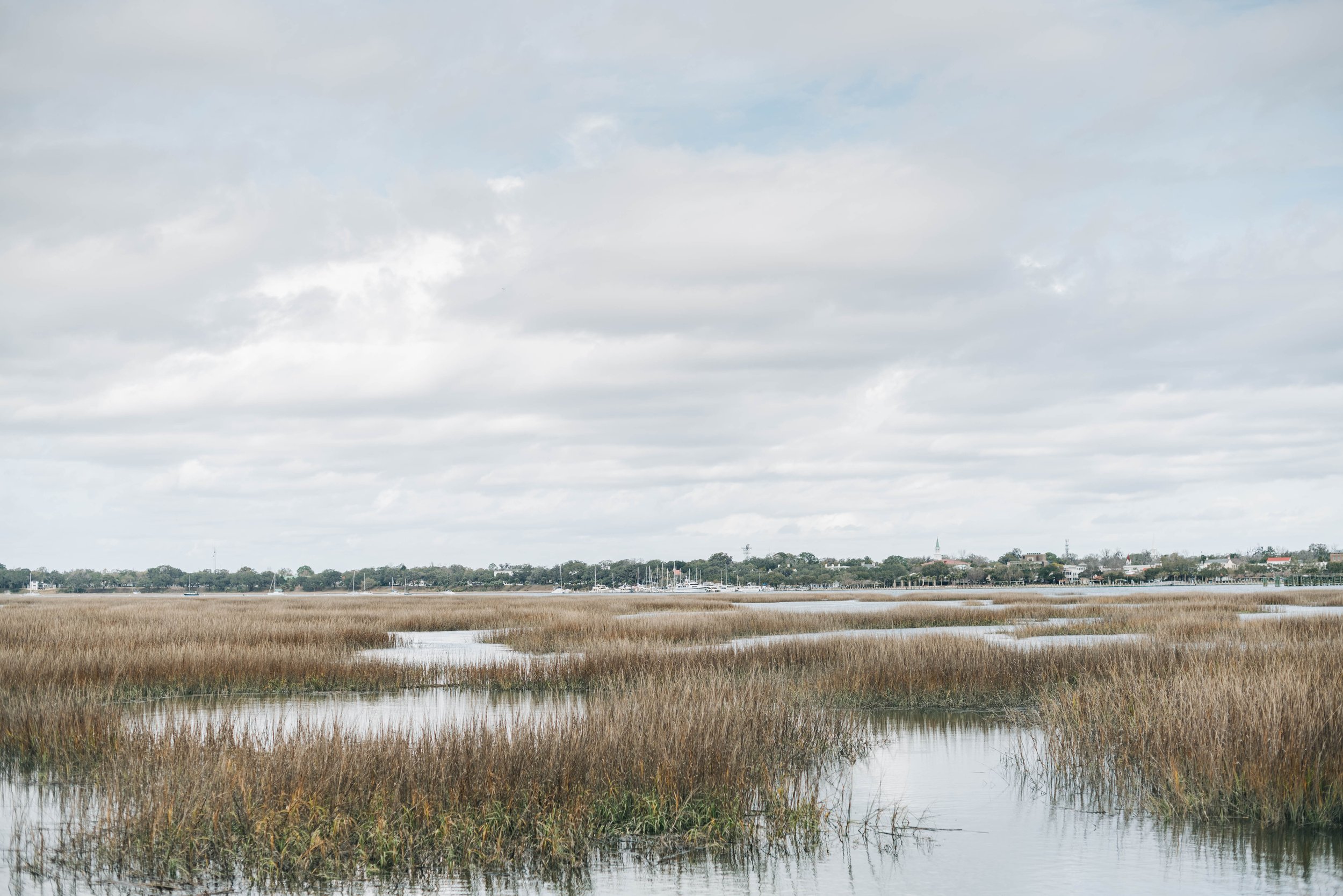 The Local Group - eXp Realty in Beaufort, SC (2)