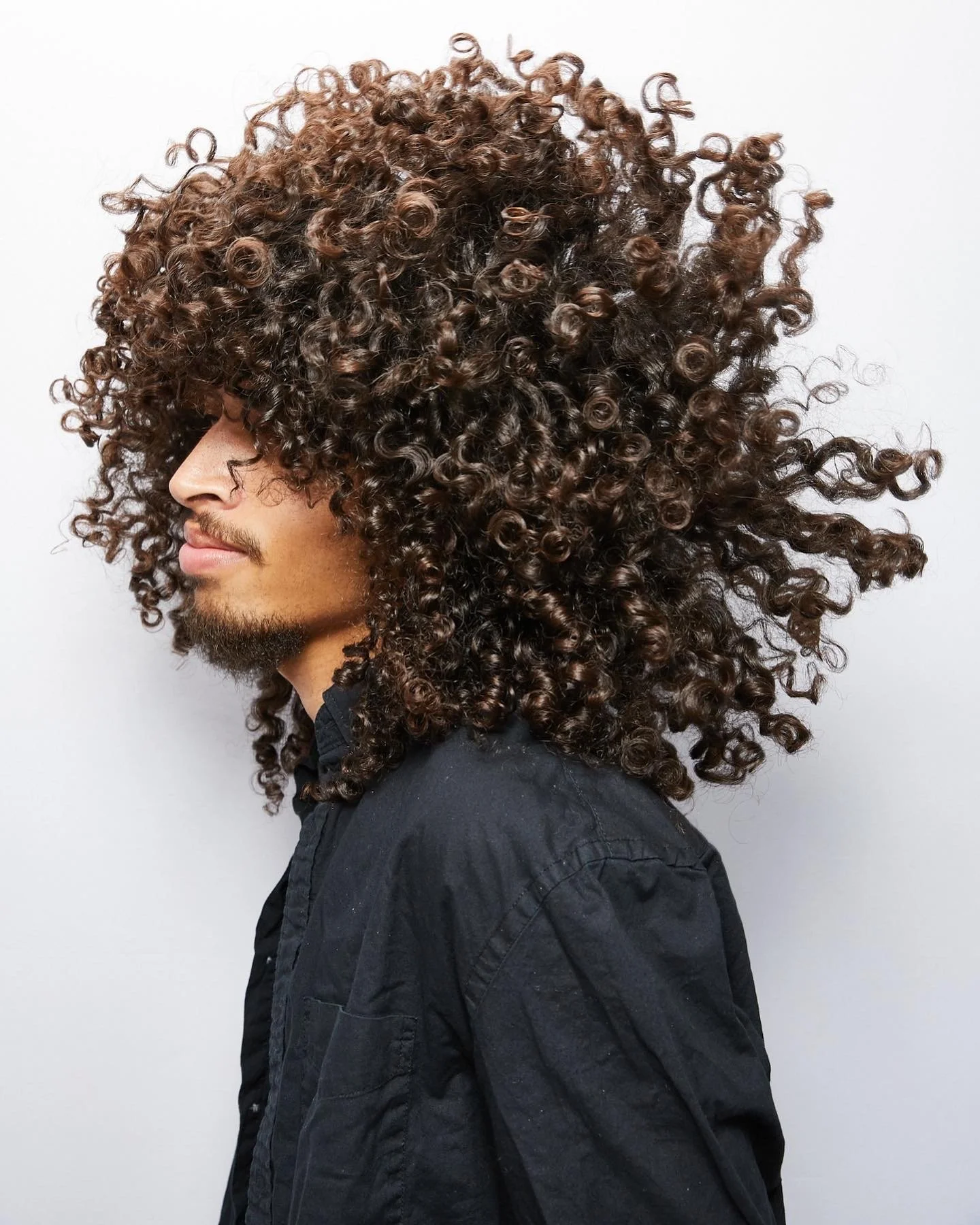 Emphasis on Curls in Alameda, CA