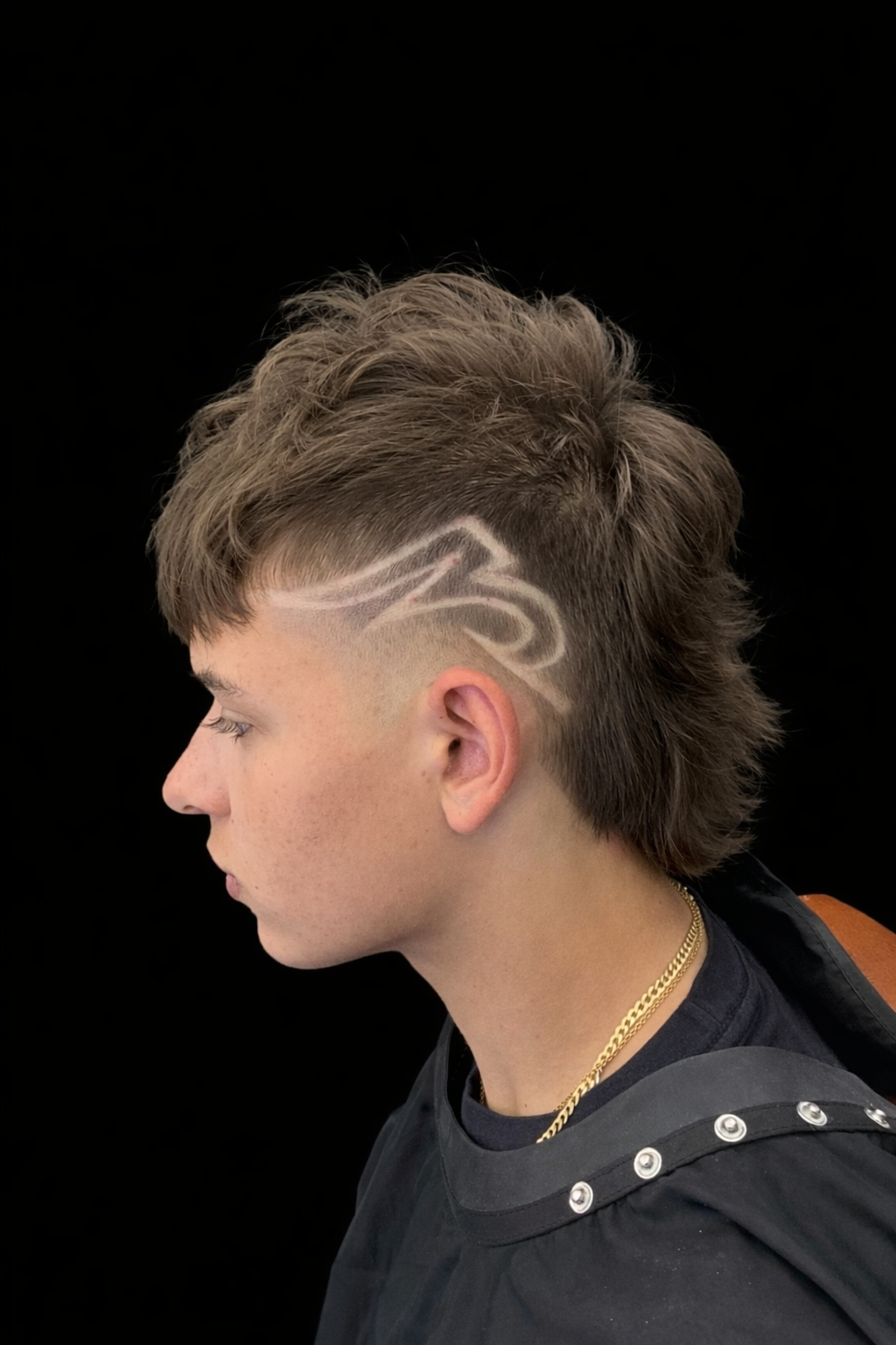 The Lion's Den Barbershop in Santa Rosa, CA