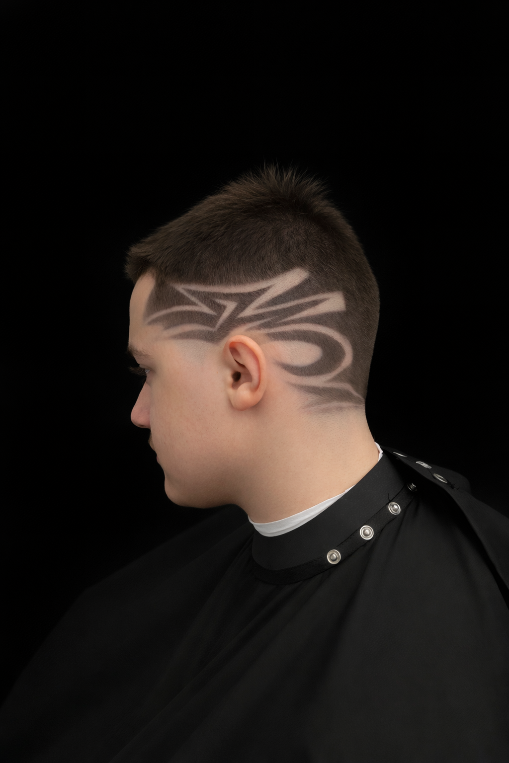 The Lion's Den Barbershop in Santa Rosa, CA (2)