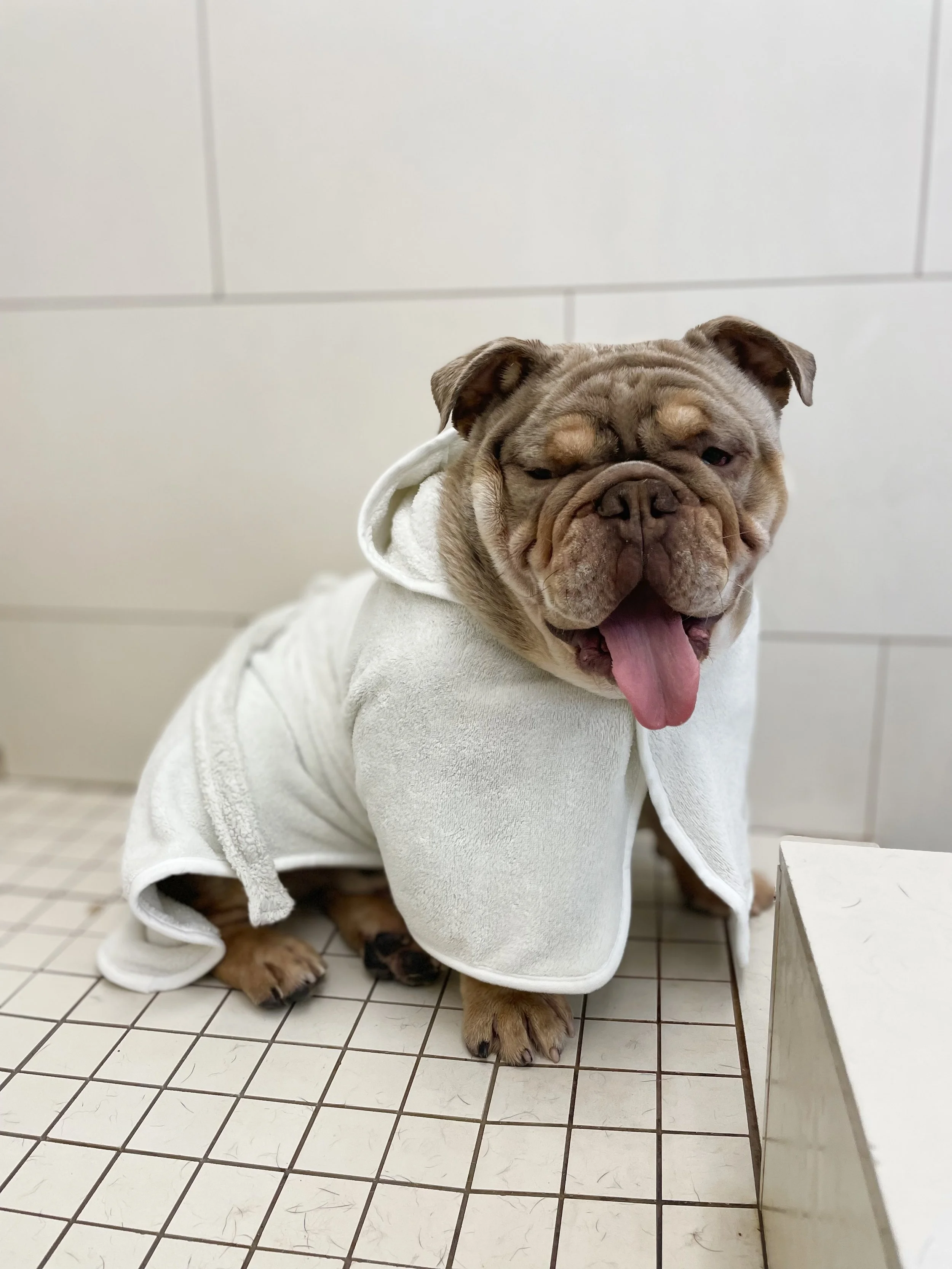 Pampered Pup in Half Moon Bay, CA