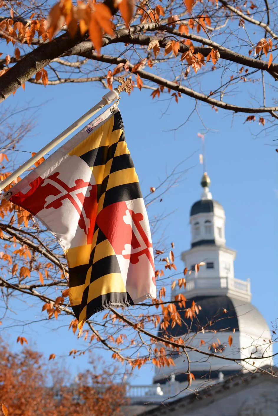 Jerry Williams III, LLC in Annapolis, MD (4)