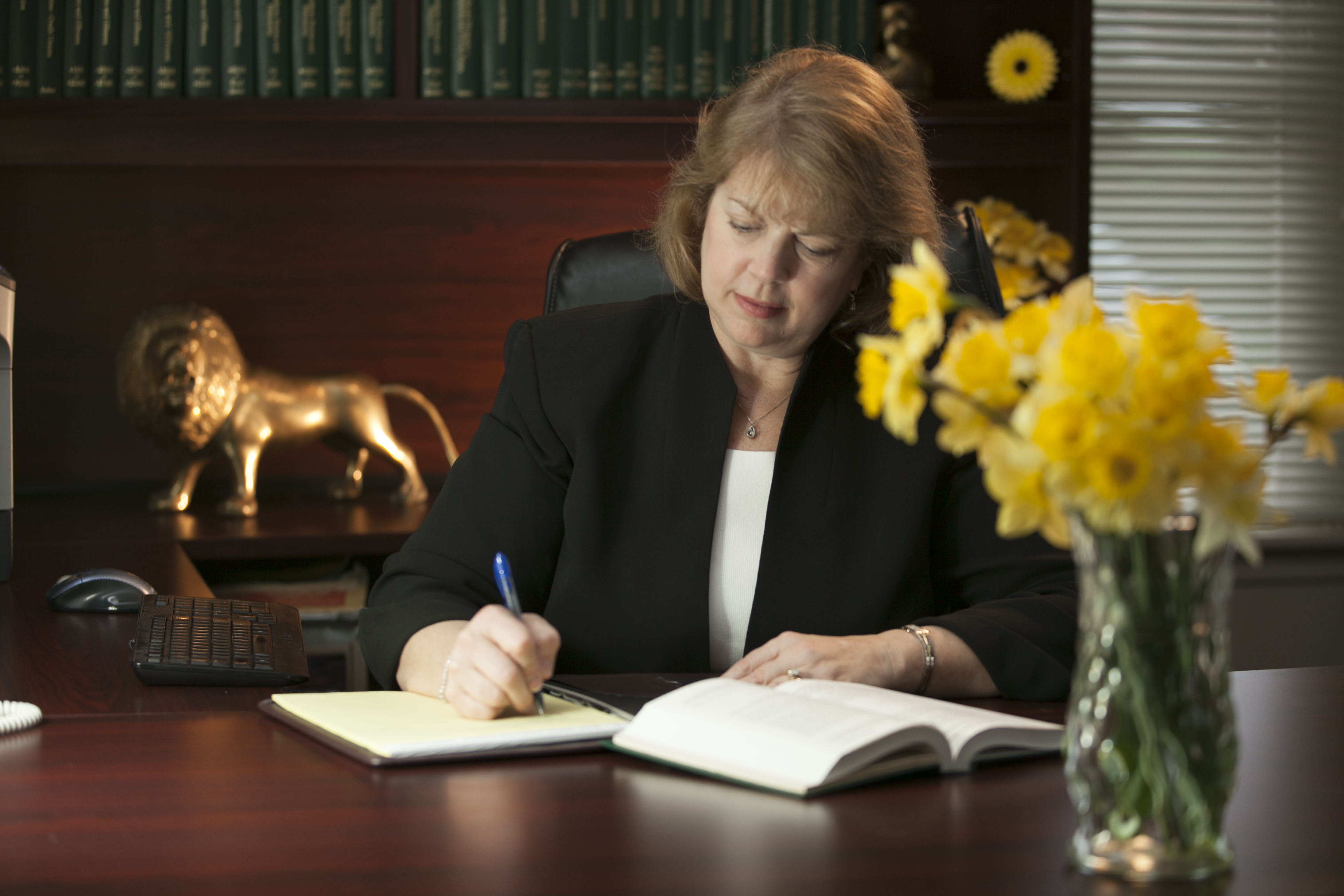 Andrea S Anderson Law Offices: Anderson Andrea S in Red Lion, PA