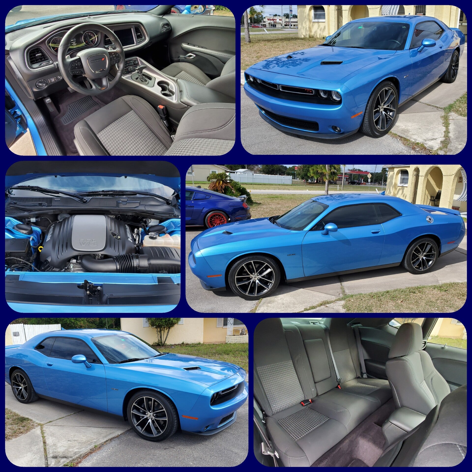 The Detail Authority in Port Richey, FL (3)