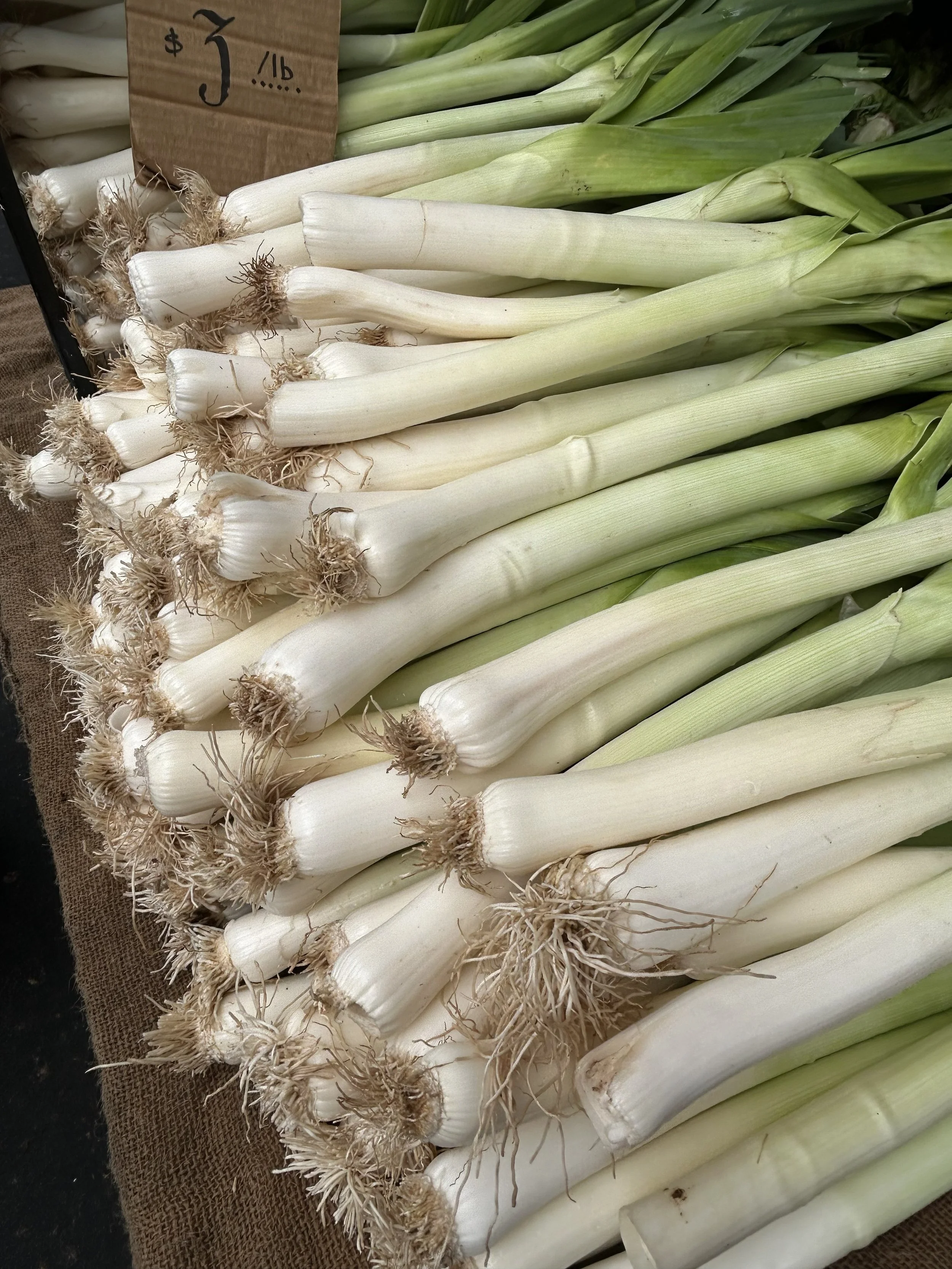 The Garden Market in Carpinteria, CA