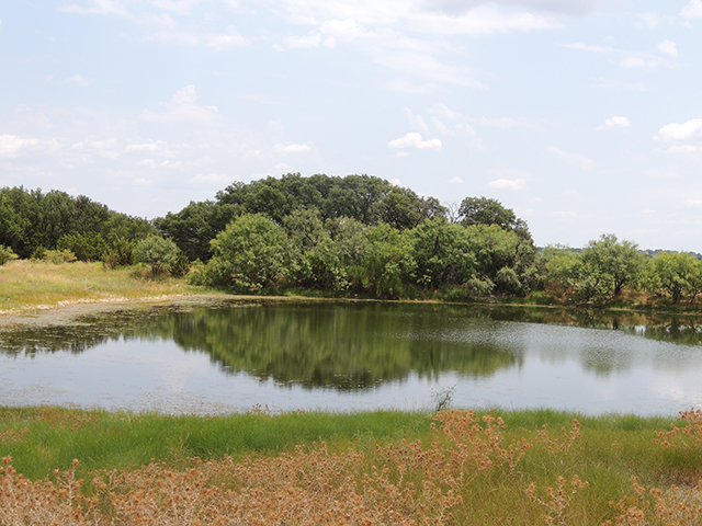 DeBord Real Estate in Brady, TX