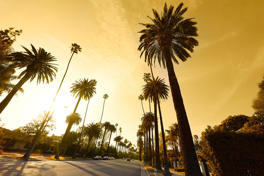 Living Legacy Real Estate in Ontario, CA (6)