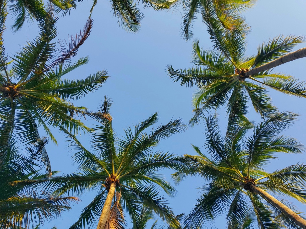 Kalish & Jaggars, PLLC in West Palm Beach, FL (4)