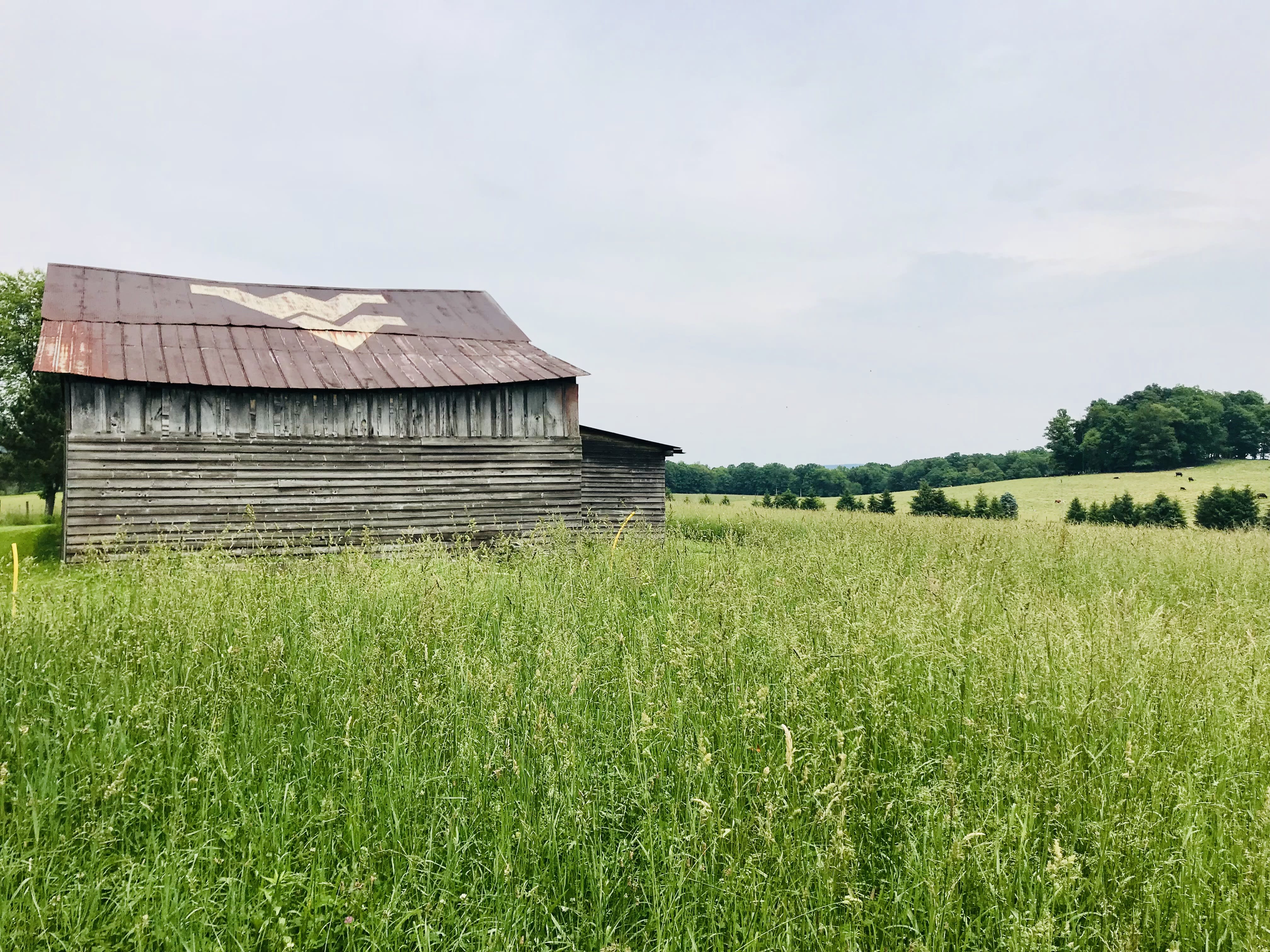Mountainpath Properties, LLC in Arthurdale, WV