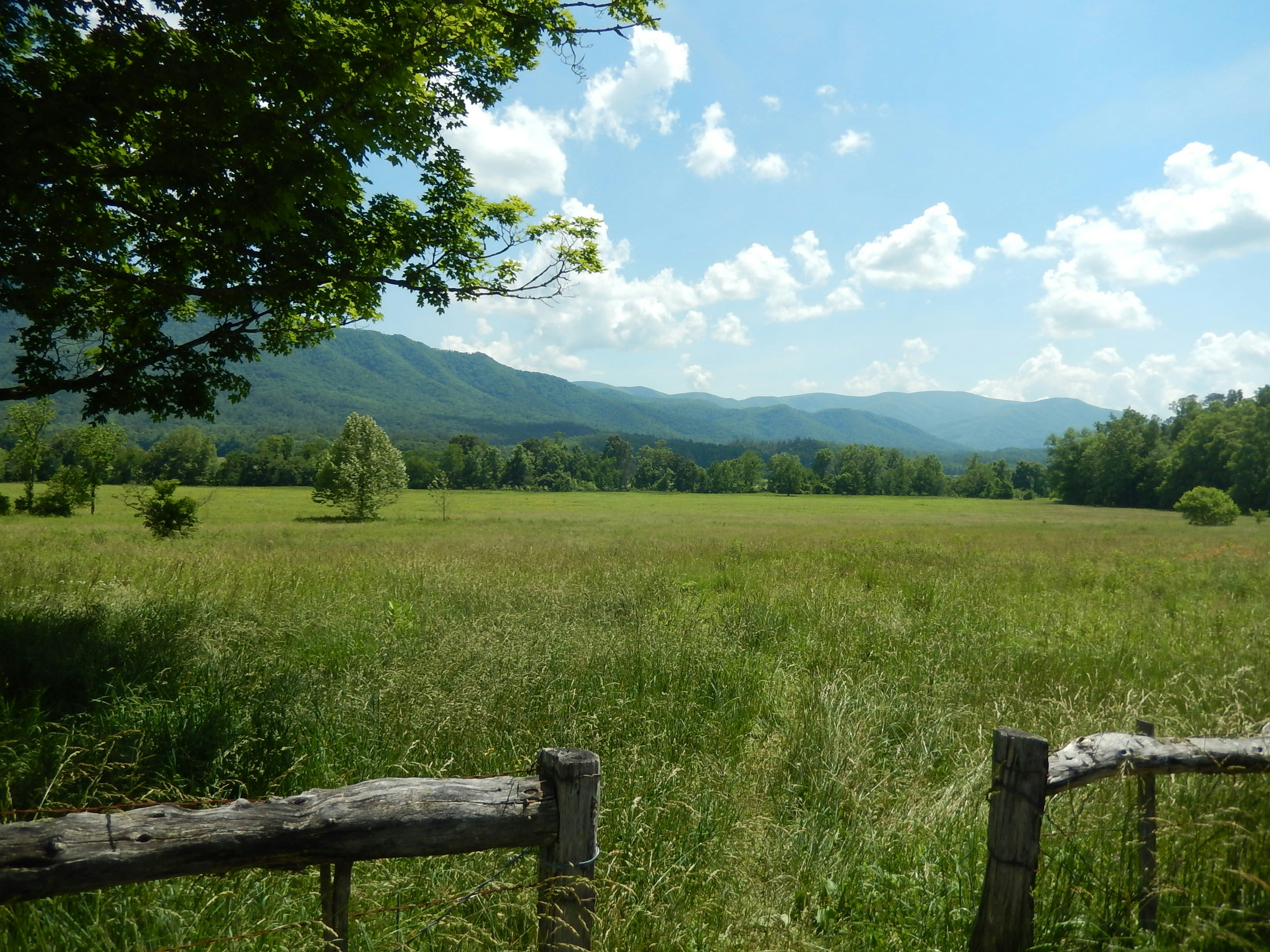 Mountainpath Properties, LLC in Arthurdale, WV (2)