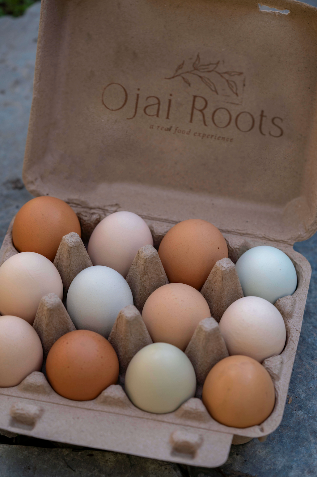 Ojai Roots in Ojai, CA (4)