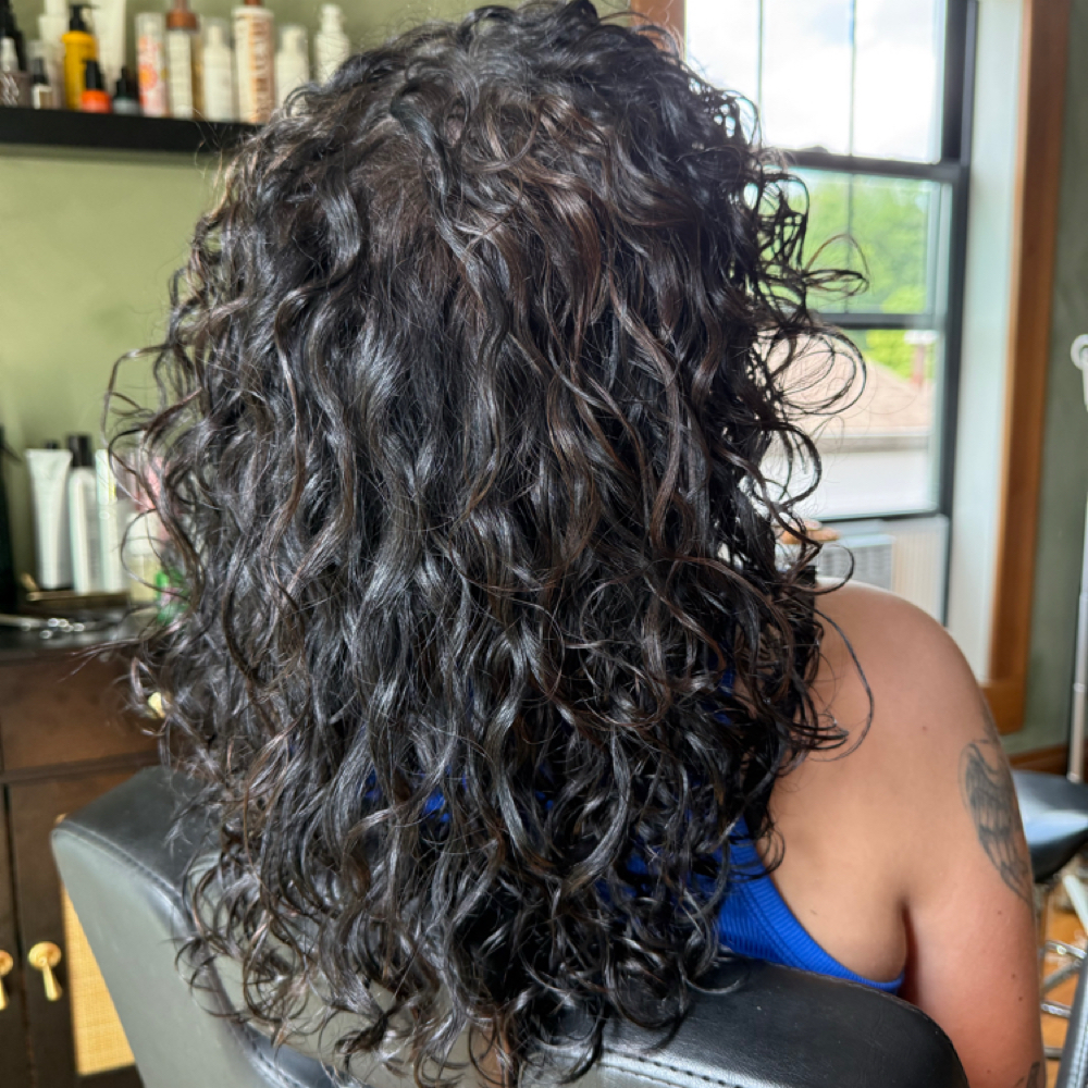 The Curly Girl in Greenwood, IN