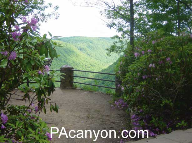 PA Grand Canyon in Wellsboro, PA