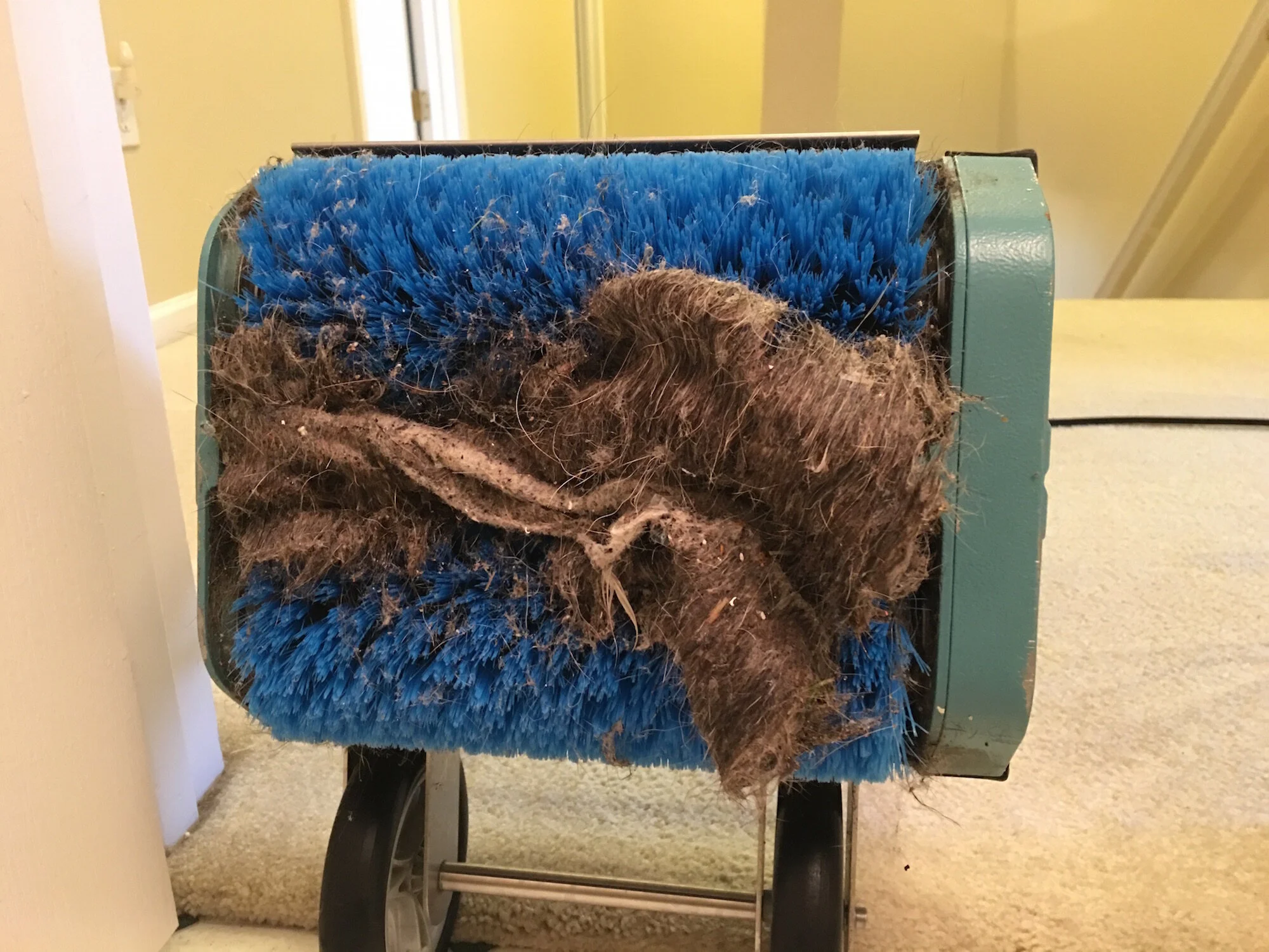 Dry Green Cleaning of Detroit in Detroit, MI