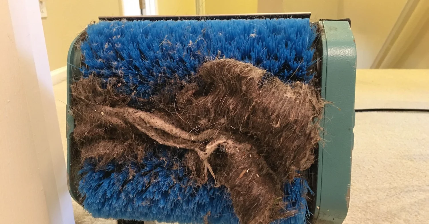Dry Green Cleaning of Detroit in Detroit, MI (2)
