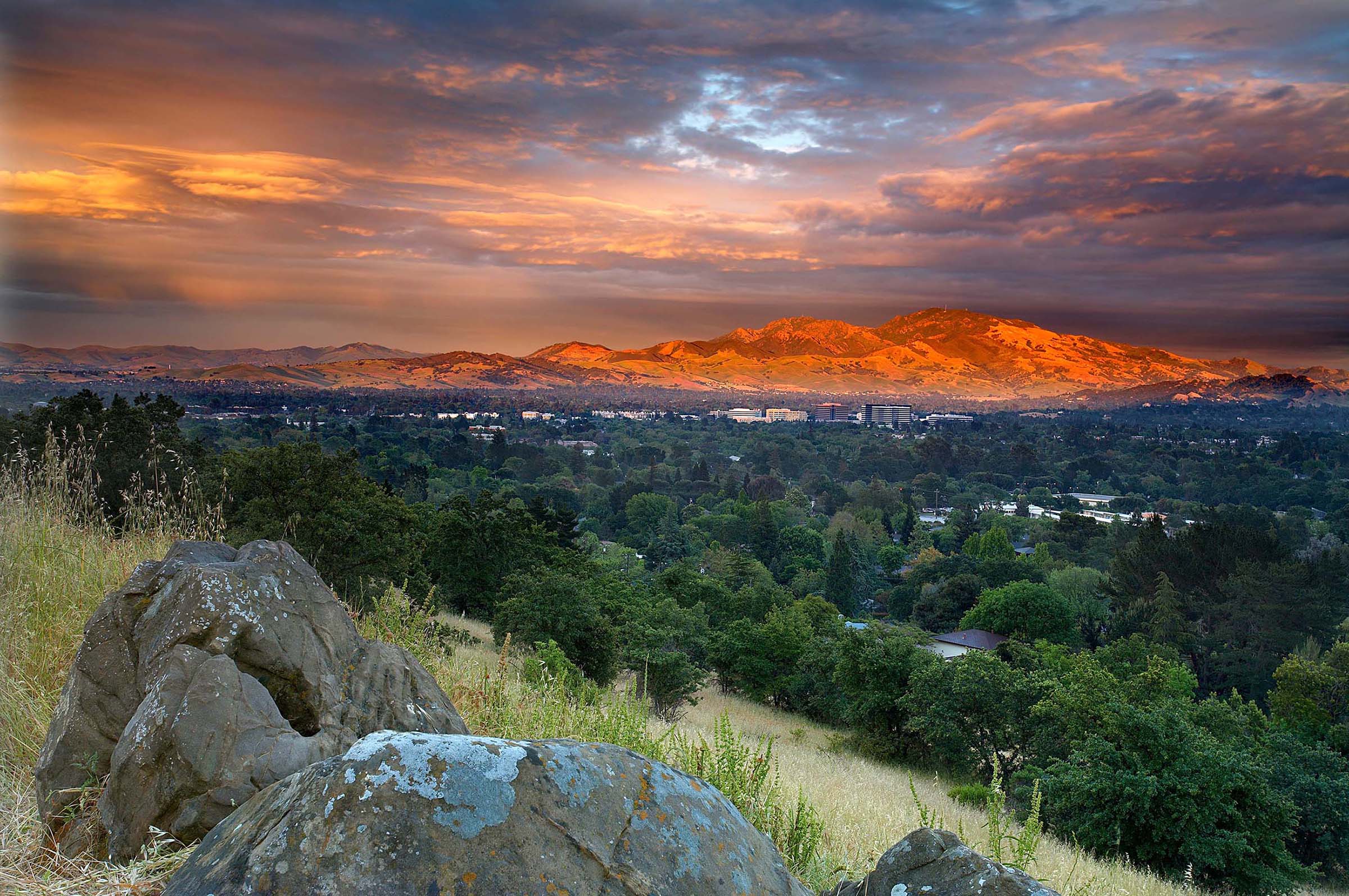 RGP LLP in Pleasant Hill, CA (2)