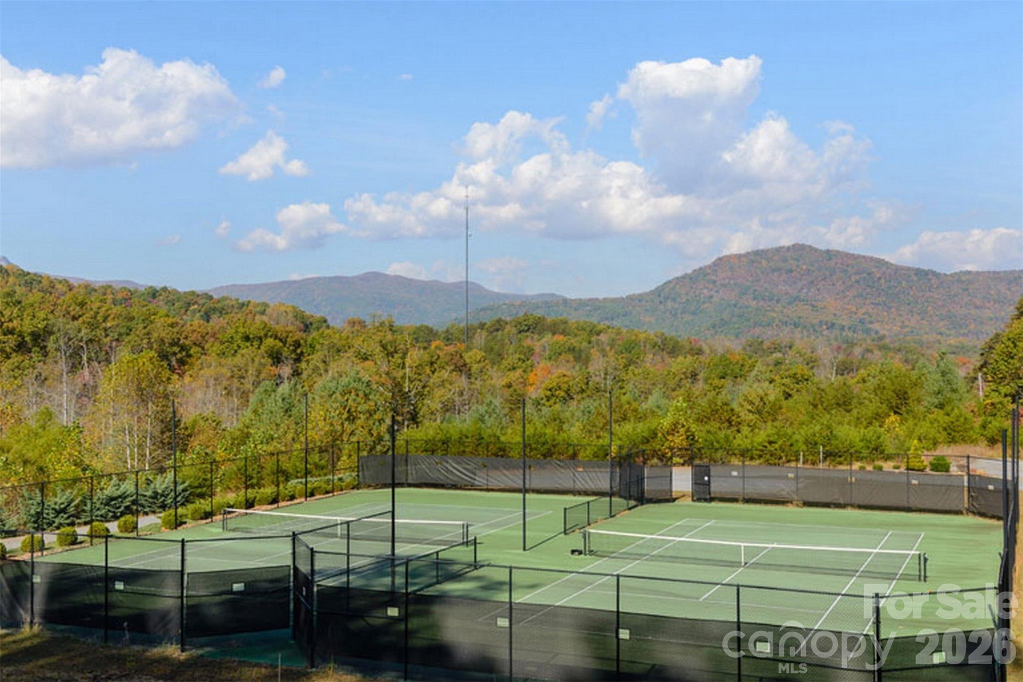 CarolinaLand.Com LLC in Lake Lure, NC (4)