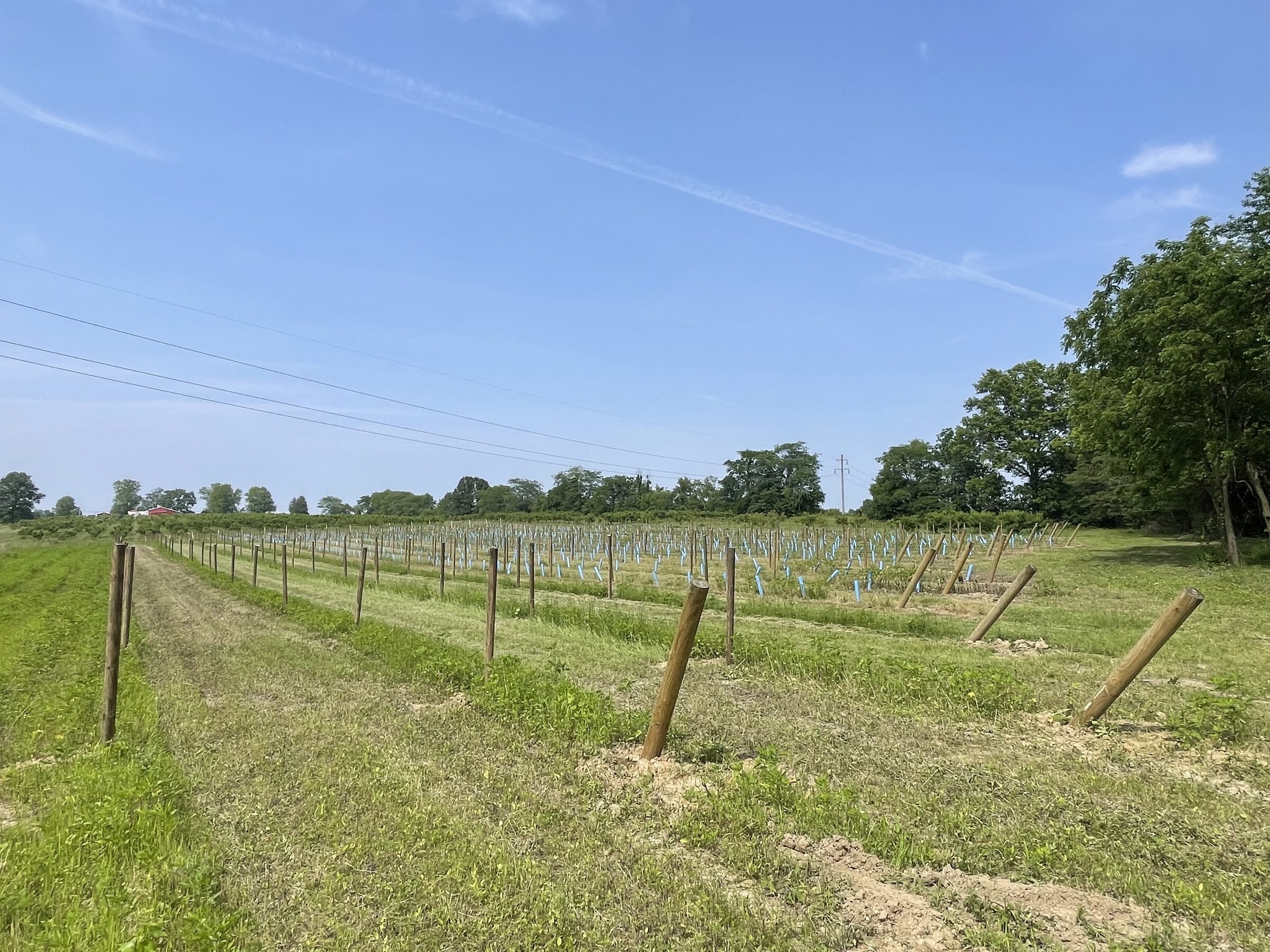 Paige's Produce in Amanda, OH