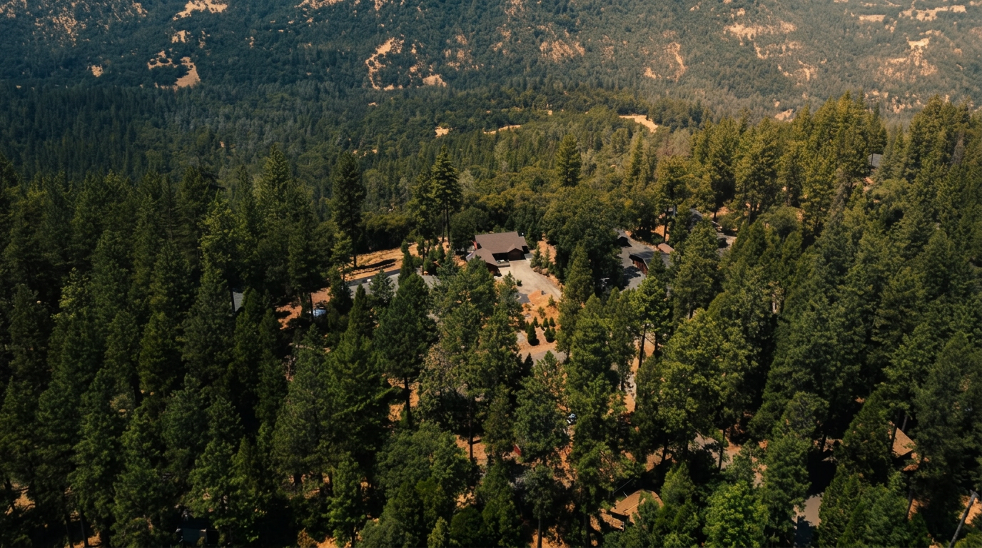 Tara Iorg-Atteberry - Top Realtor in Oroville LPT Realty in Richvale, CA (2)