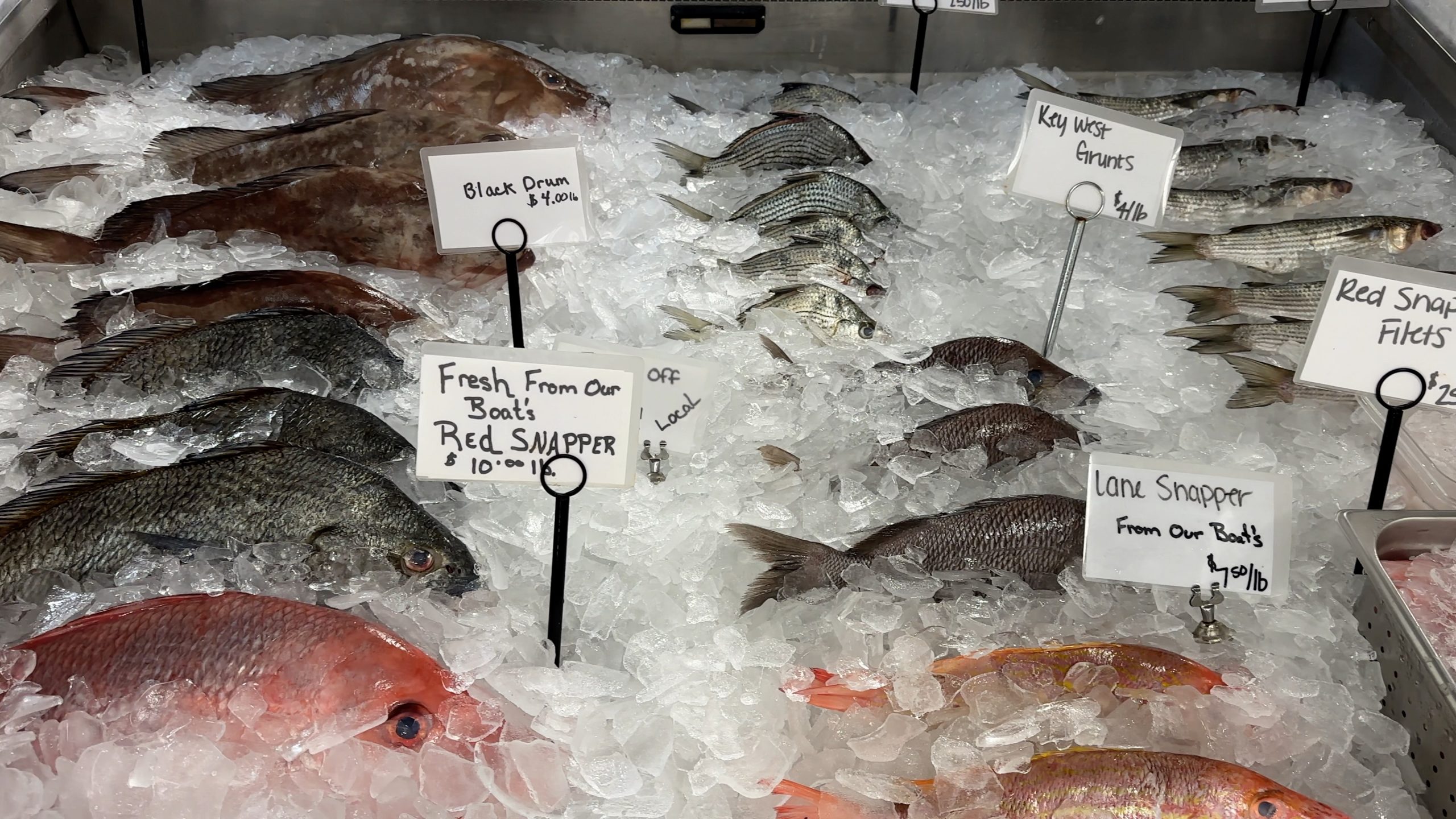 Brooks Dockside Seafood (Food Truck) in Inglis, FL (6)