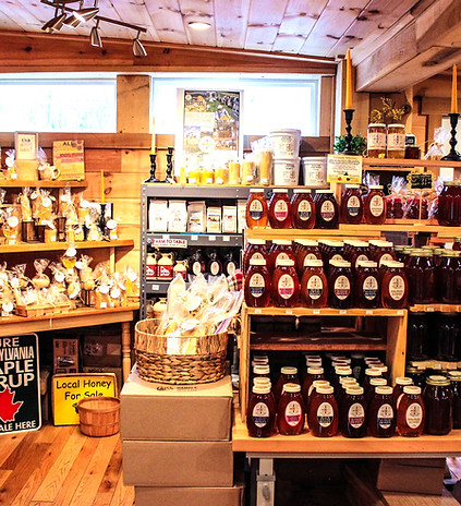 Bedillion Honey Farm in Hickory, PA (2)