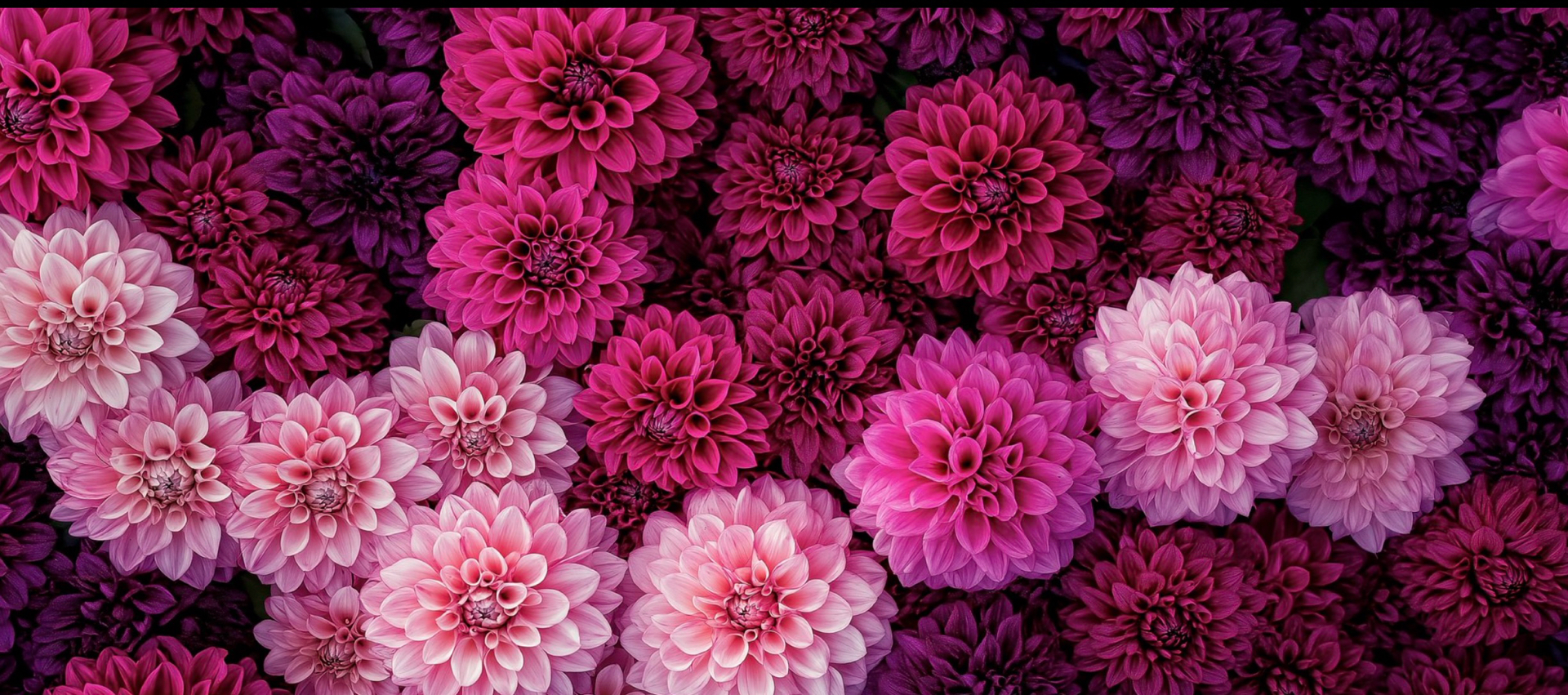 Hint of Beauty Studio in Burlingame, CA