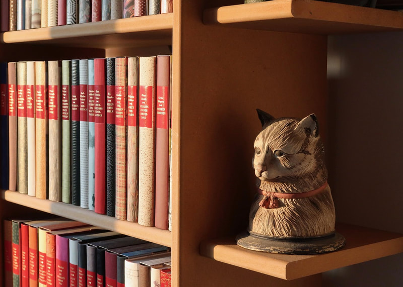 My Favorite Books in Tallahassee, FL (4)