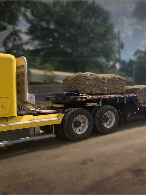Ant Mound Logistics in Brandon, MS (2)