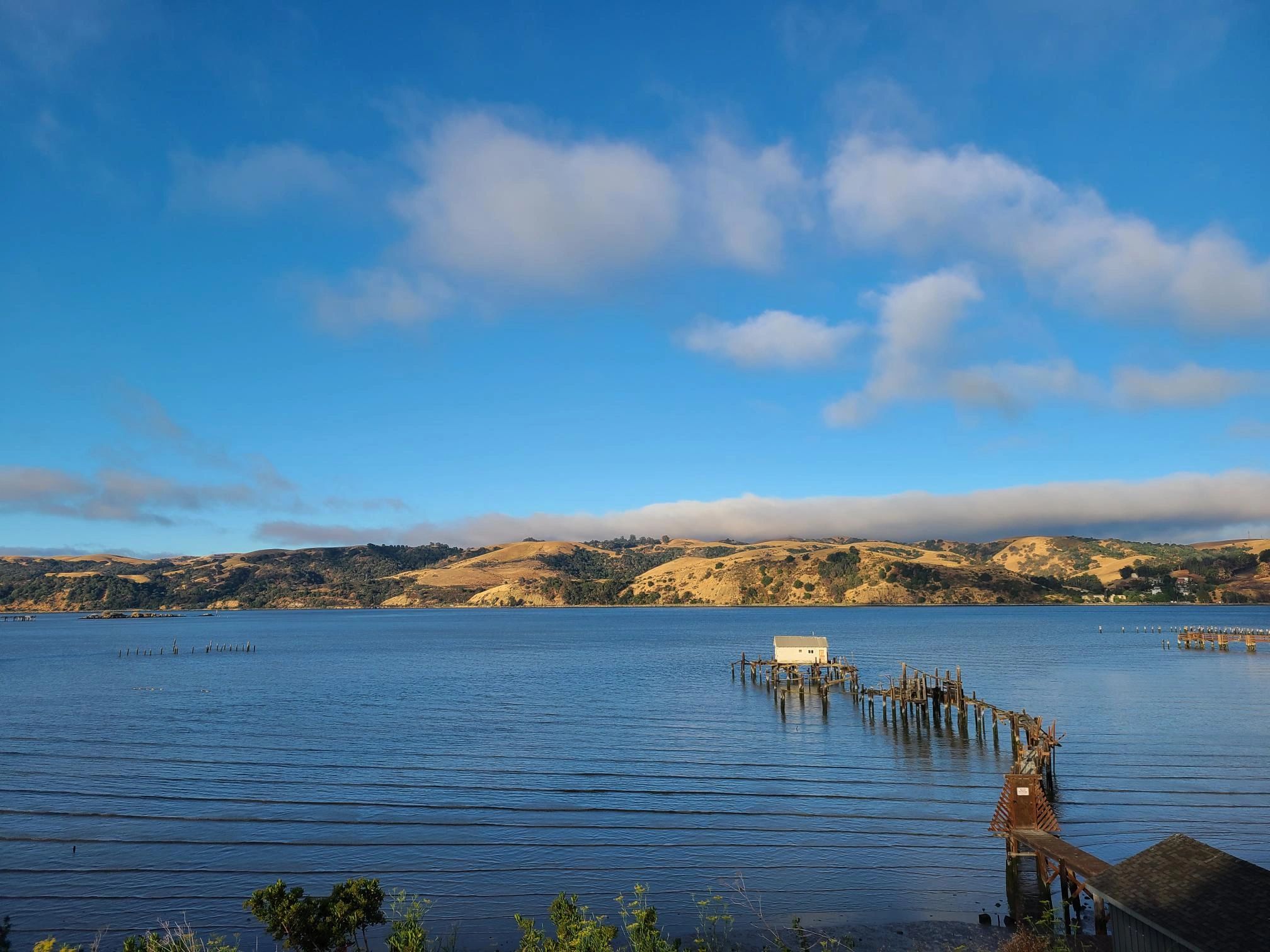 Sarah Stevens, Broker Associate, REALTOR®, Compass in Benicia, CA